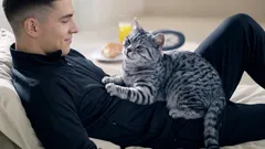 Come i gatti dimostrano affetto: se lo fanno, sei la loro persona preferita