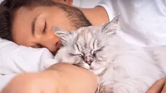 Come sceglie la gatta il suo padrone in famiglia?